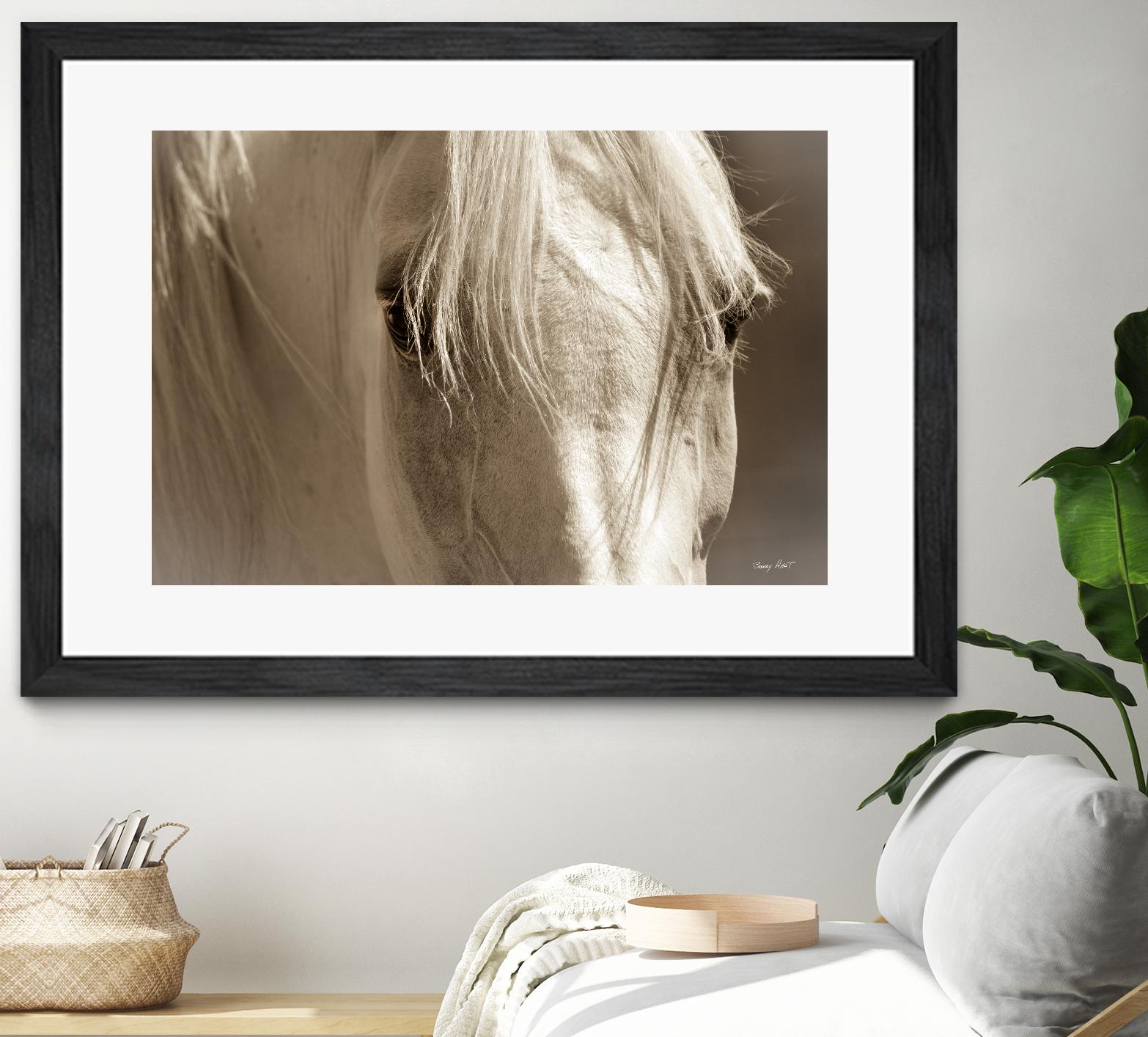 Angel Eyes by Barry Hart on GIANT ART - beige animals