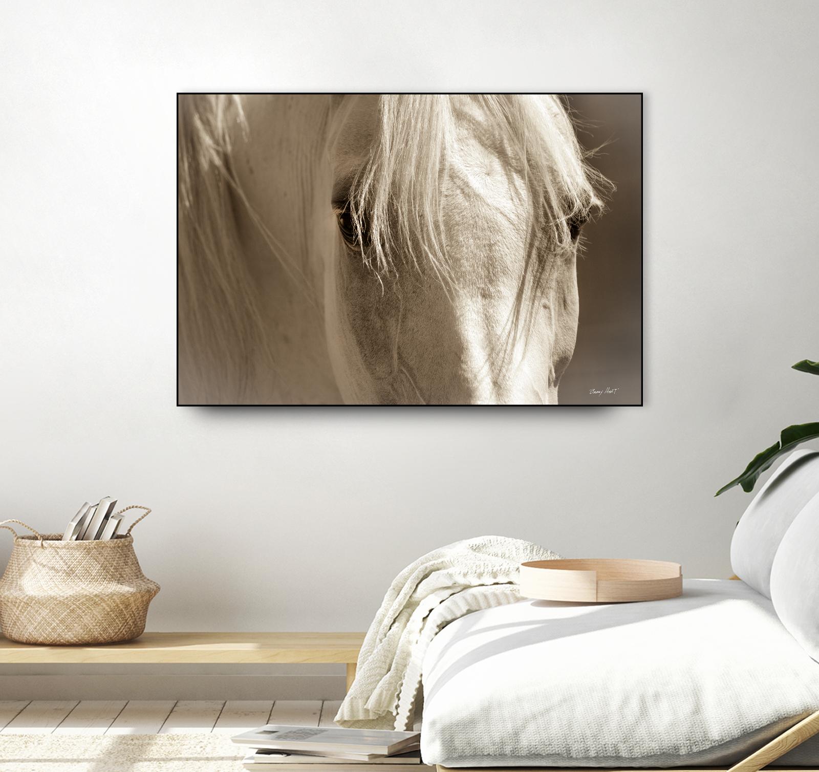 Angel Eyes by Barry Hart on GIANT ART - beige animals