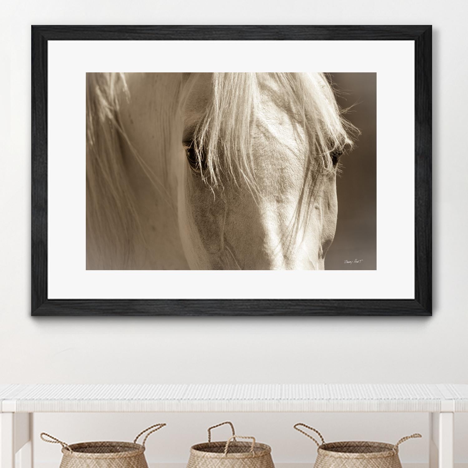 Angel Eyes by Barry Hart on GIANT ART - beige animals