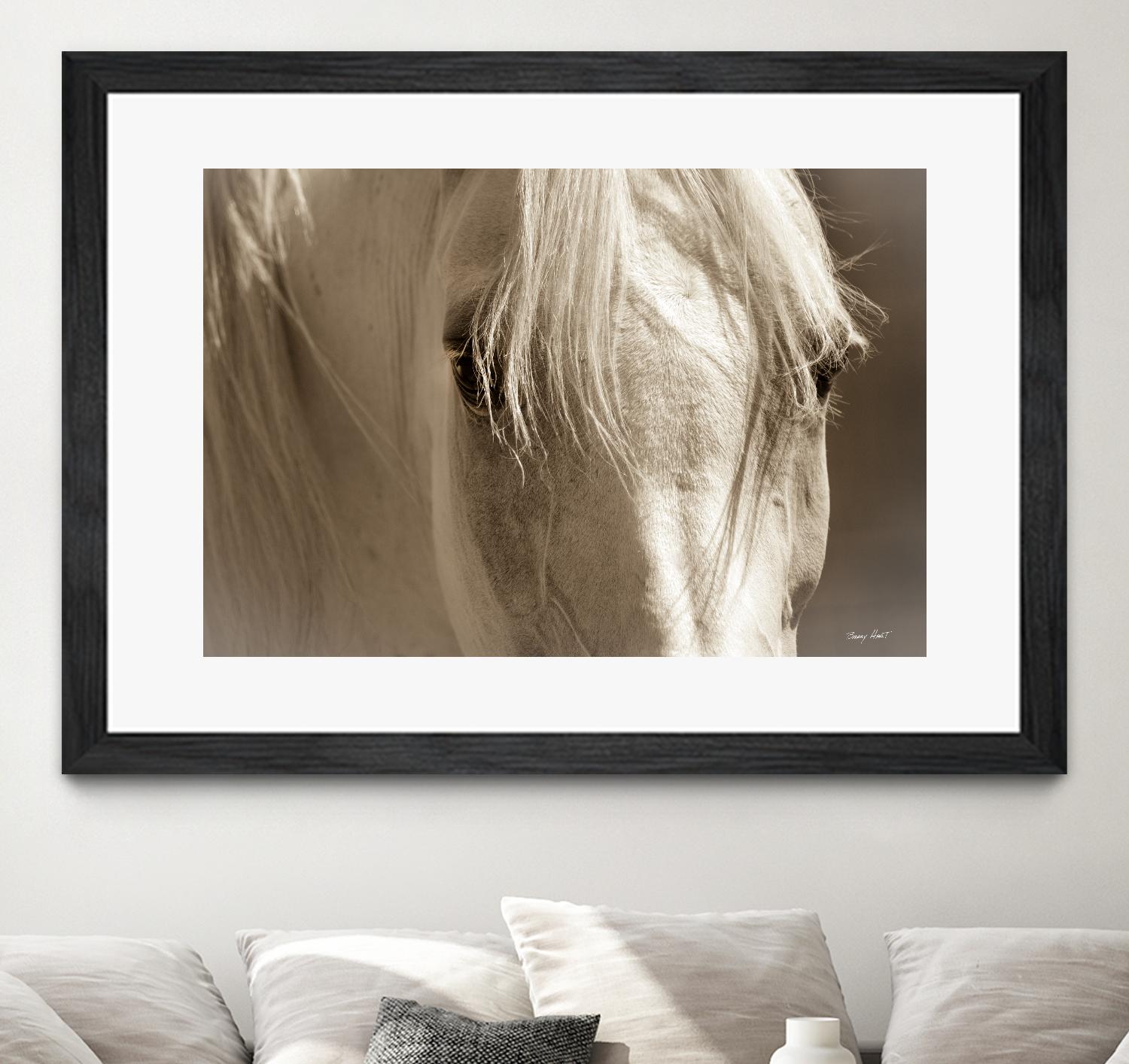 Angel Eyes by Barry Hart on GIANT ART - beige animals