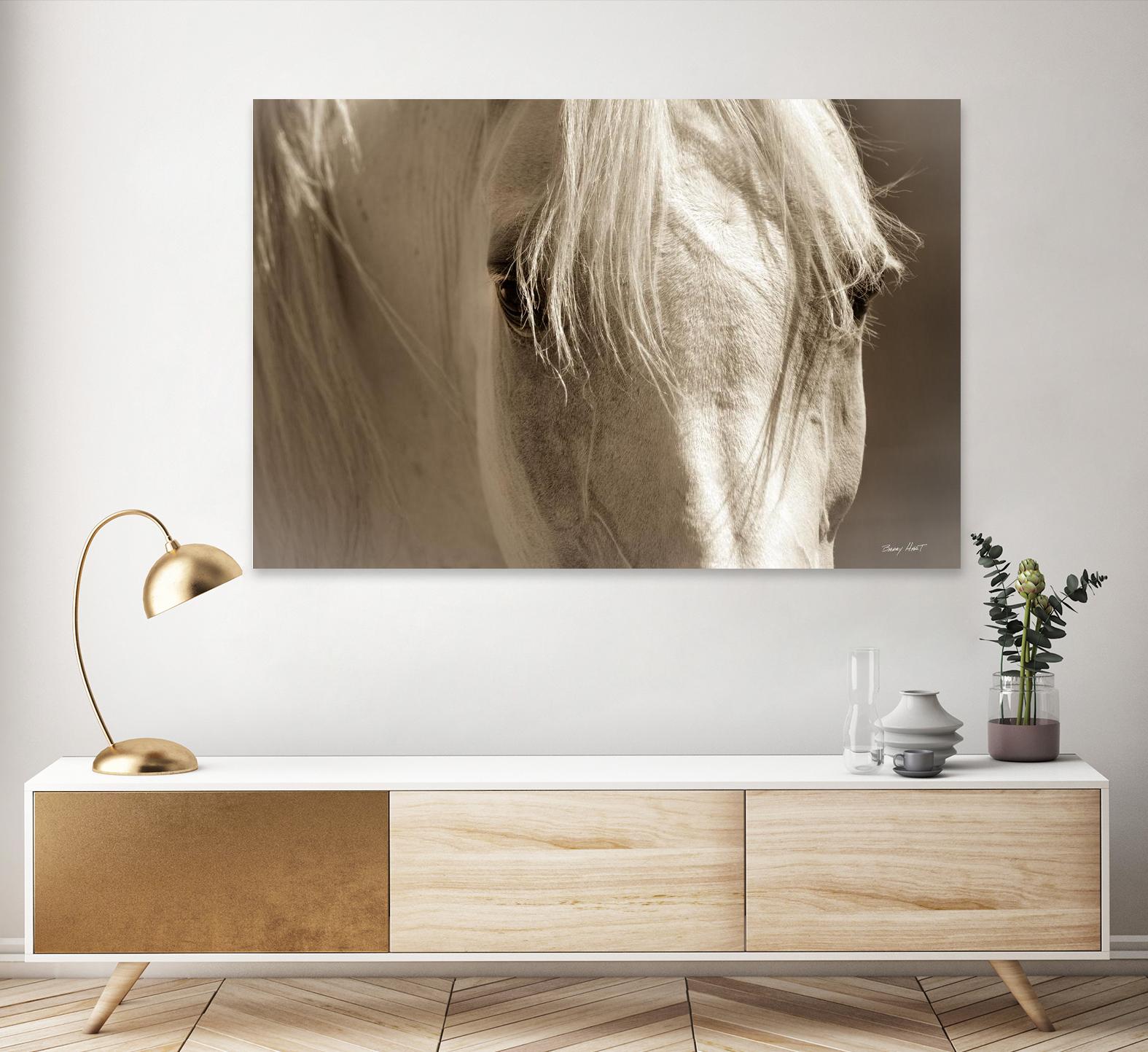 Angel Eyes by Barry Hart on GIANT ART - beige animals