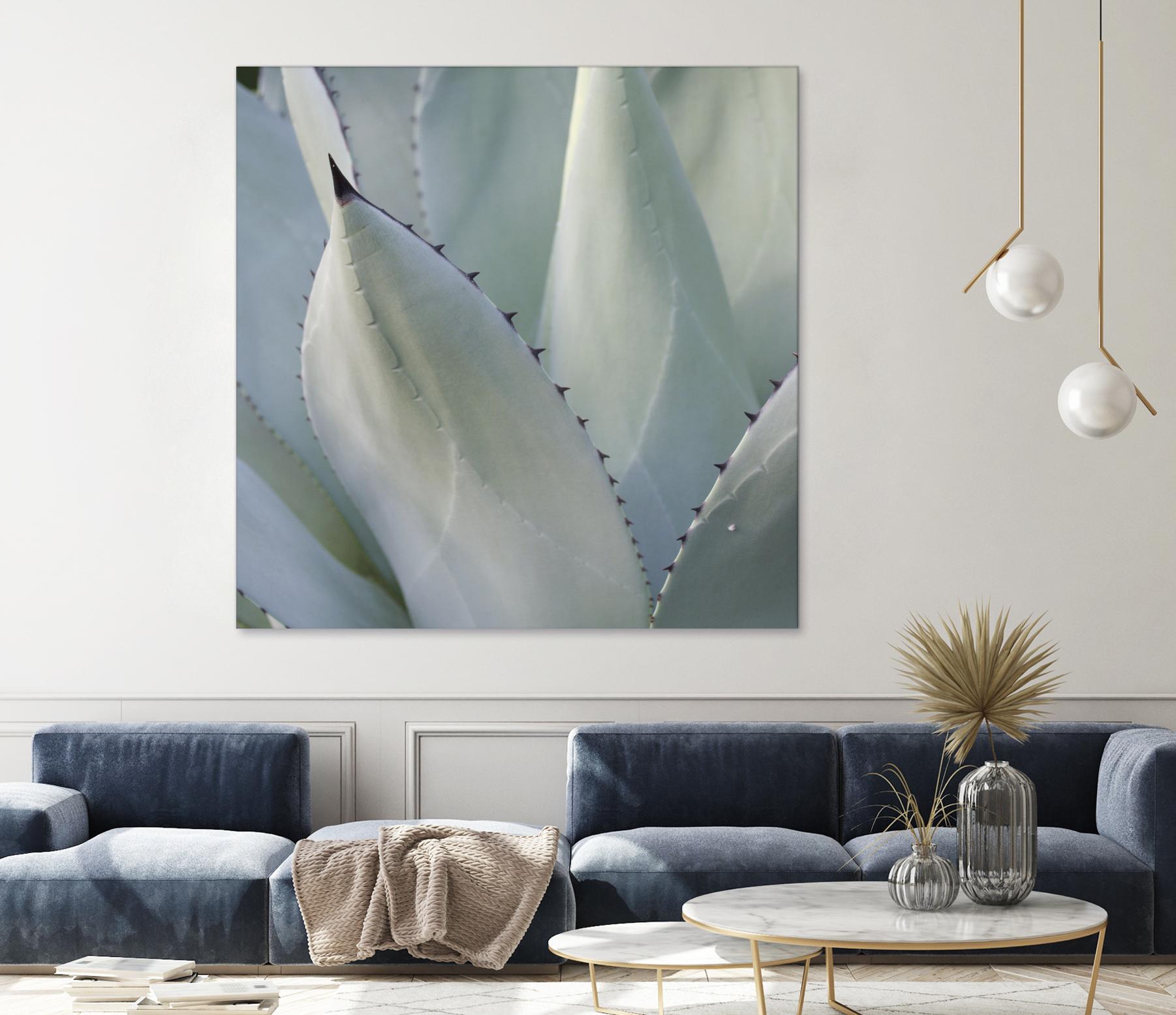 Black Tip Succulent by Karen Ussery on GIANT ART - grey botany