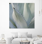 Black Tip Succulent by Karen Ussery on GIANT ART - grey botany
