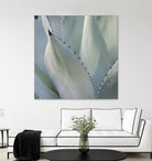 Black Tip Succulent by Karen Ussery on GIANT ART - grey botany