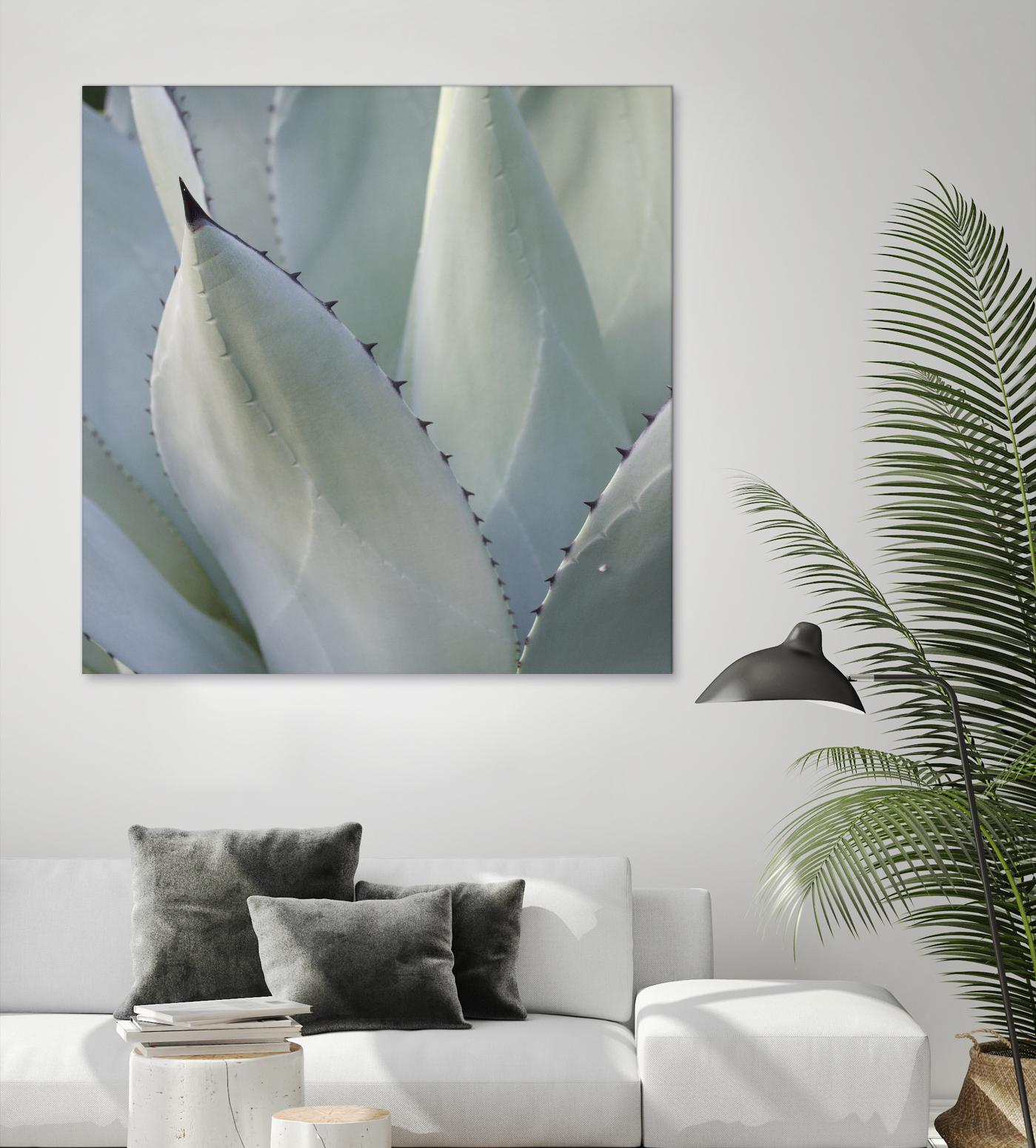 Black Tip Succulent by Karen Ussery on GIANT ART - grey botany