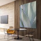 Black Tip Succulent by Karen Ussery on GIANT ART - grey botany