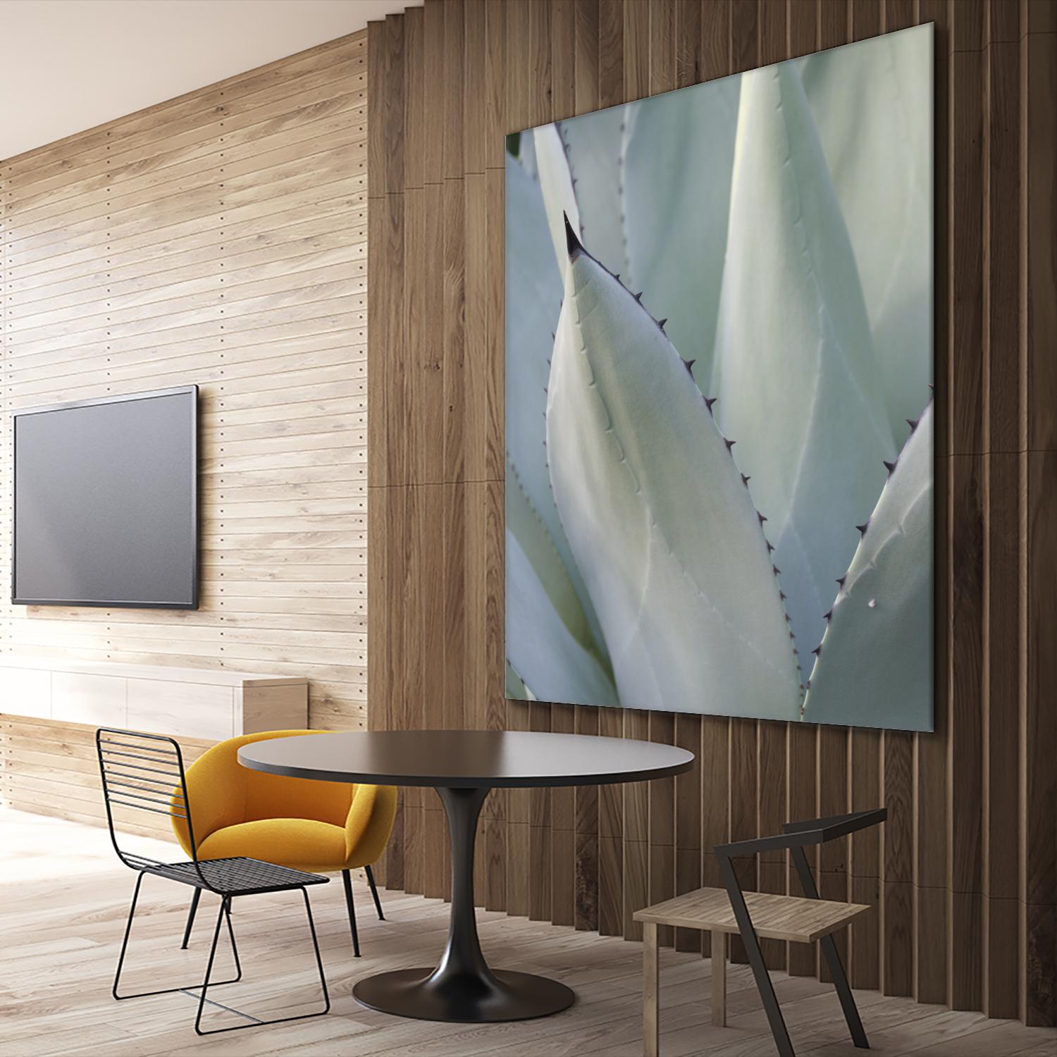 Black Tip Succulent by Karen Ussery on GIANT ART - grey botany