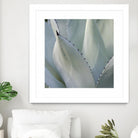 Black Tip Succulent by Karen Ussery on GIANT ART - grey botany