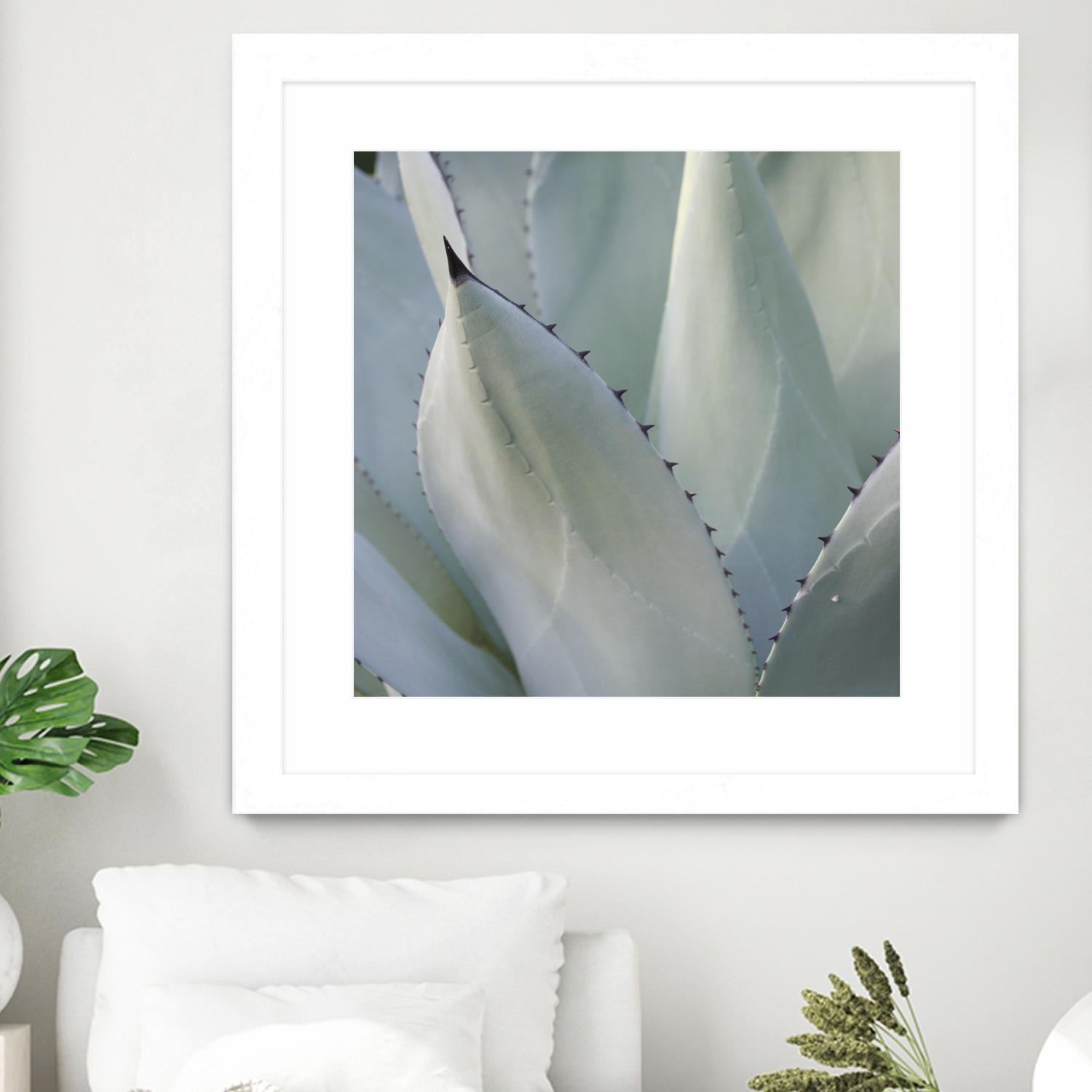 Black Tip Succulent by Karen Ussery on GIANT ART - grey botany