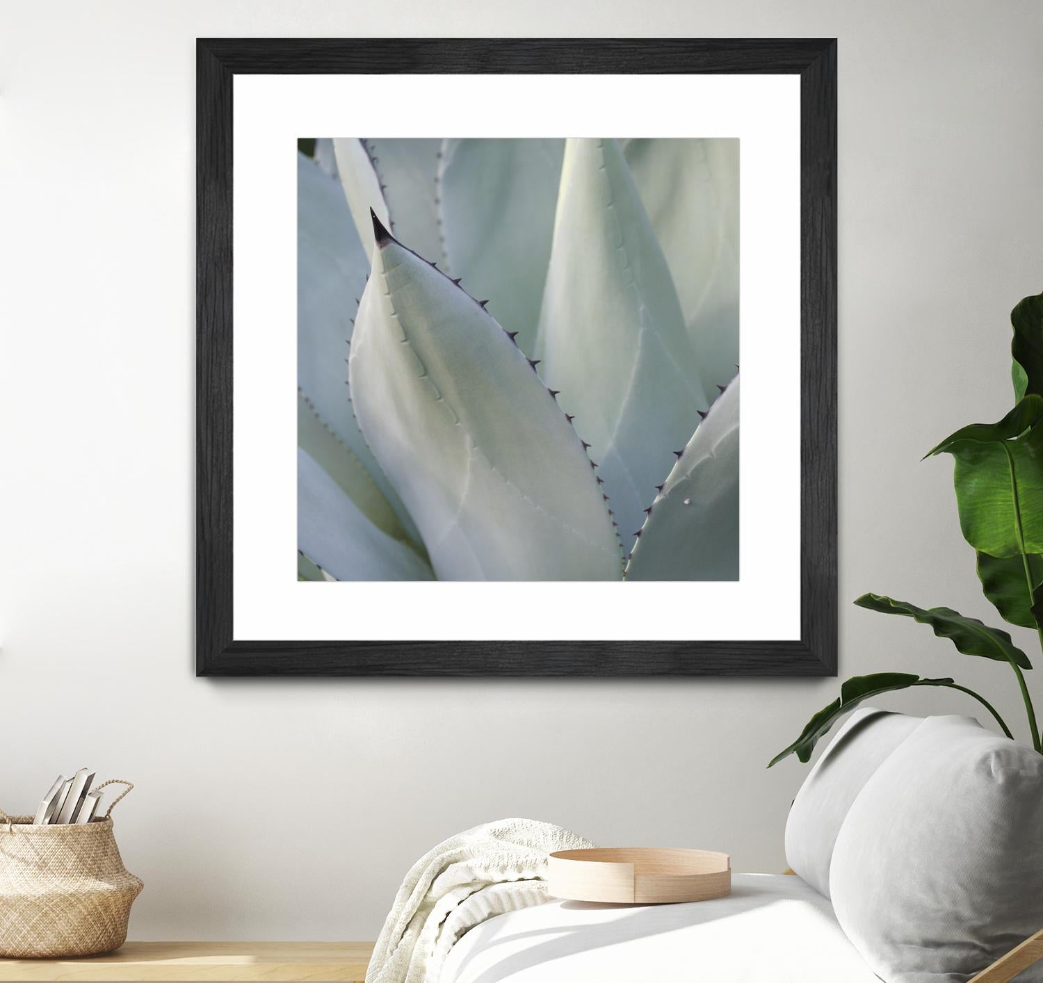 Black Tip Succulent by Karen Ussery on GIANT ART - grey botany
