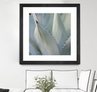Black Tip Succulent by Karen Ussery on GIANT ART - grey botany