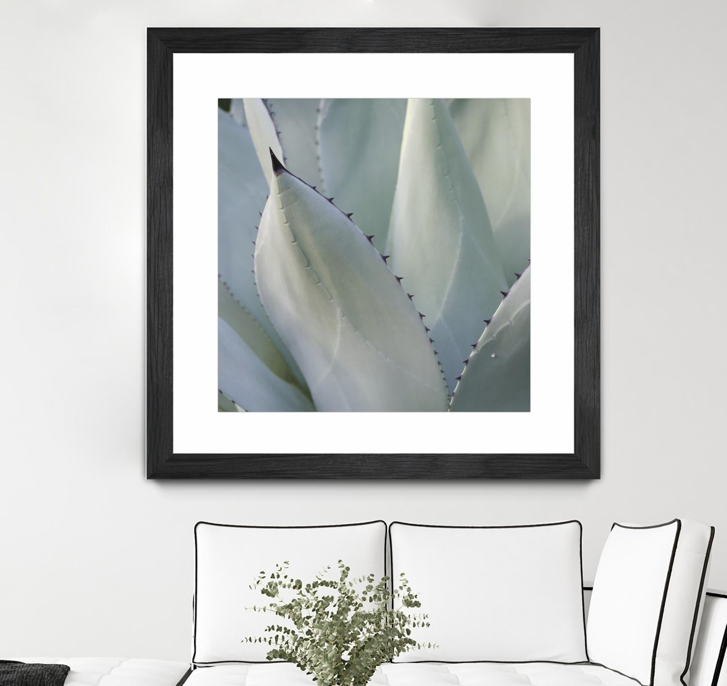 Black Tip Succulent by Karen Ussery on GIANT ART - grey botany