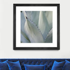 Black Tip Succulent by Karen Ussery on GIANT ART - grey botany