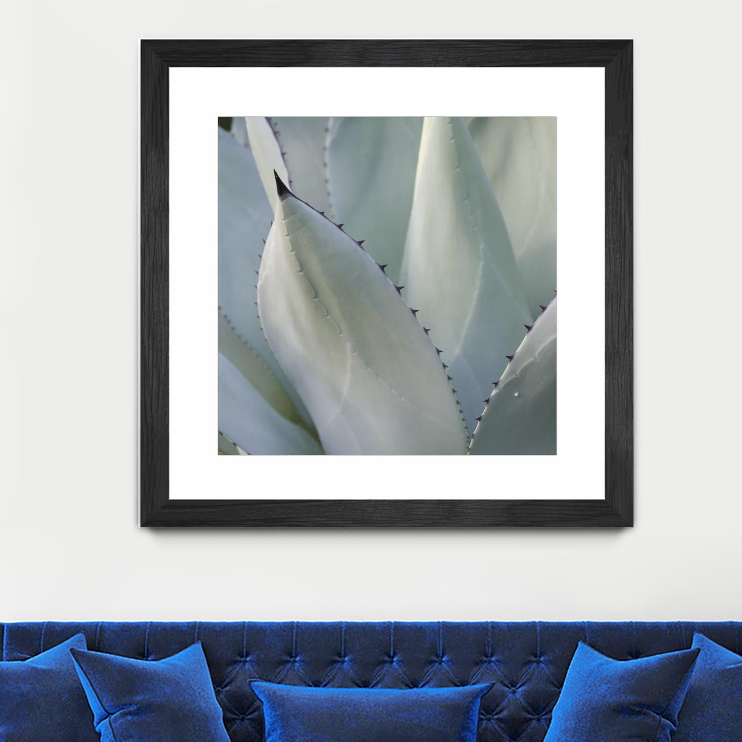 Black Tip Succulent by Karen Ussery on GIANT ART - grey botany