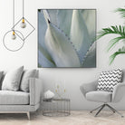 Black Tip Succulent by Karen Ussery on GIANT ART - grey botany
