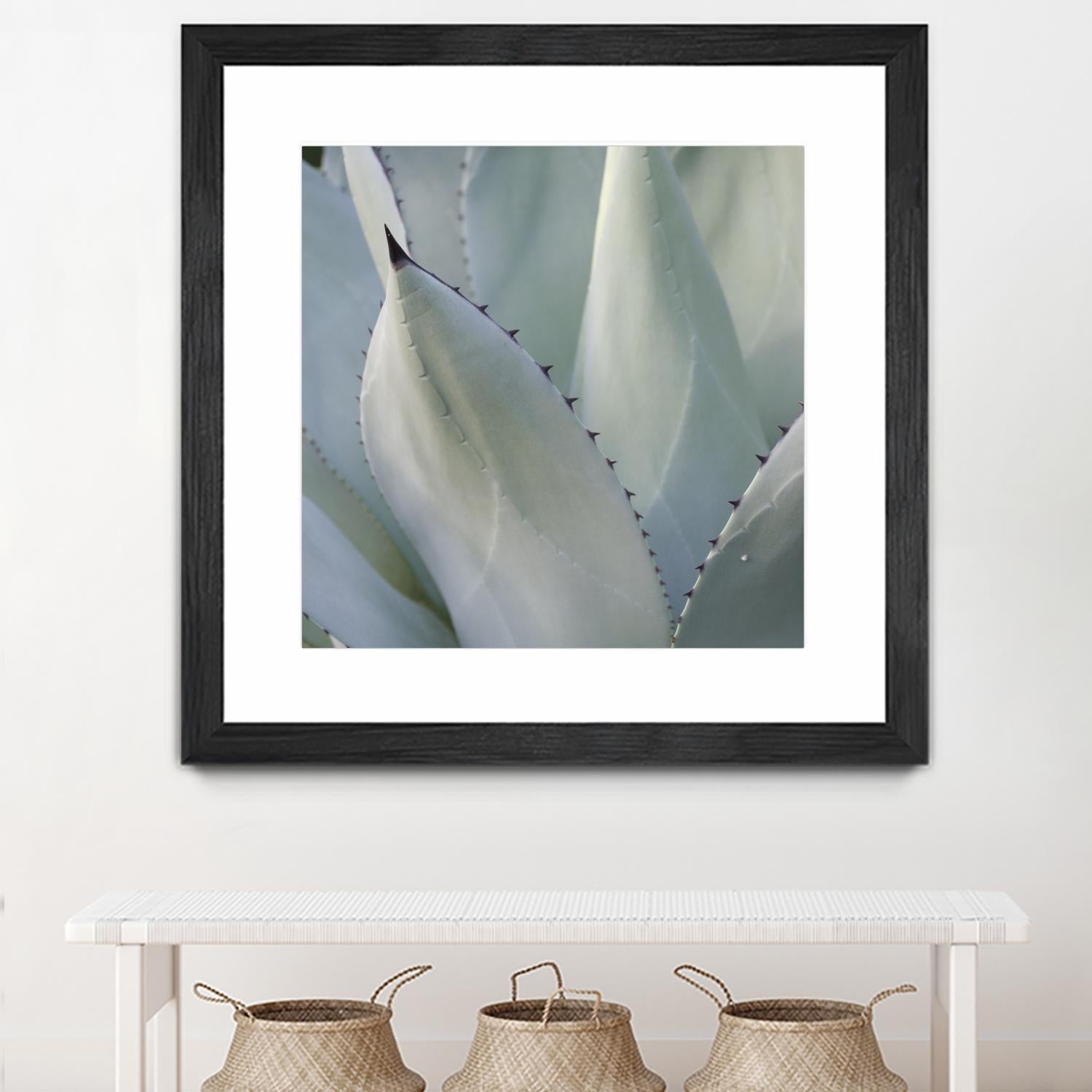 Black Tip Succulent by Karen Ussery on GIANT ART - grey botany