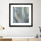 Black Tip Succulent by Karen Ussery on GIANT ART - grey botany