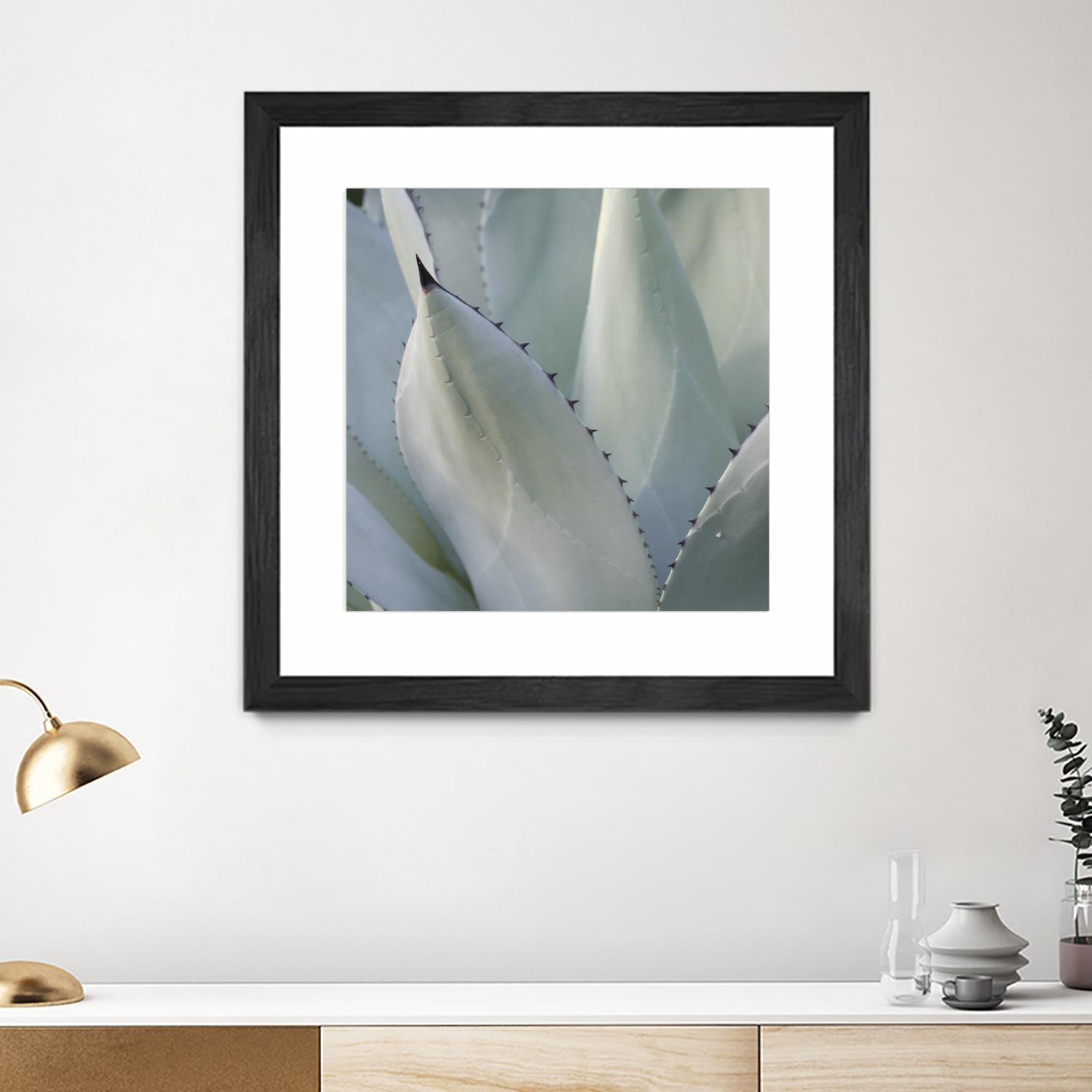 Black Tip Succulent by Karen Ussery on GIANT ART - grey botany