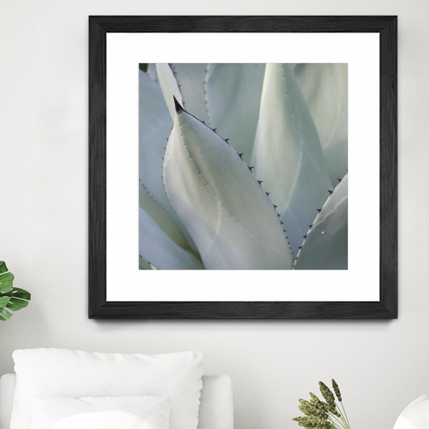 Black Tip Succulent by Karen Ussery on GIANT ART - grey botany