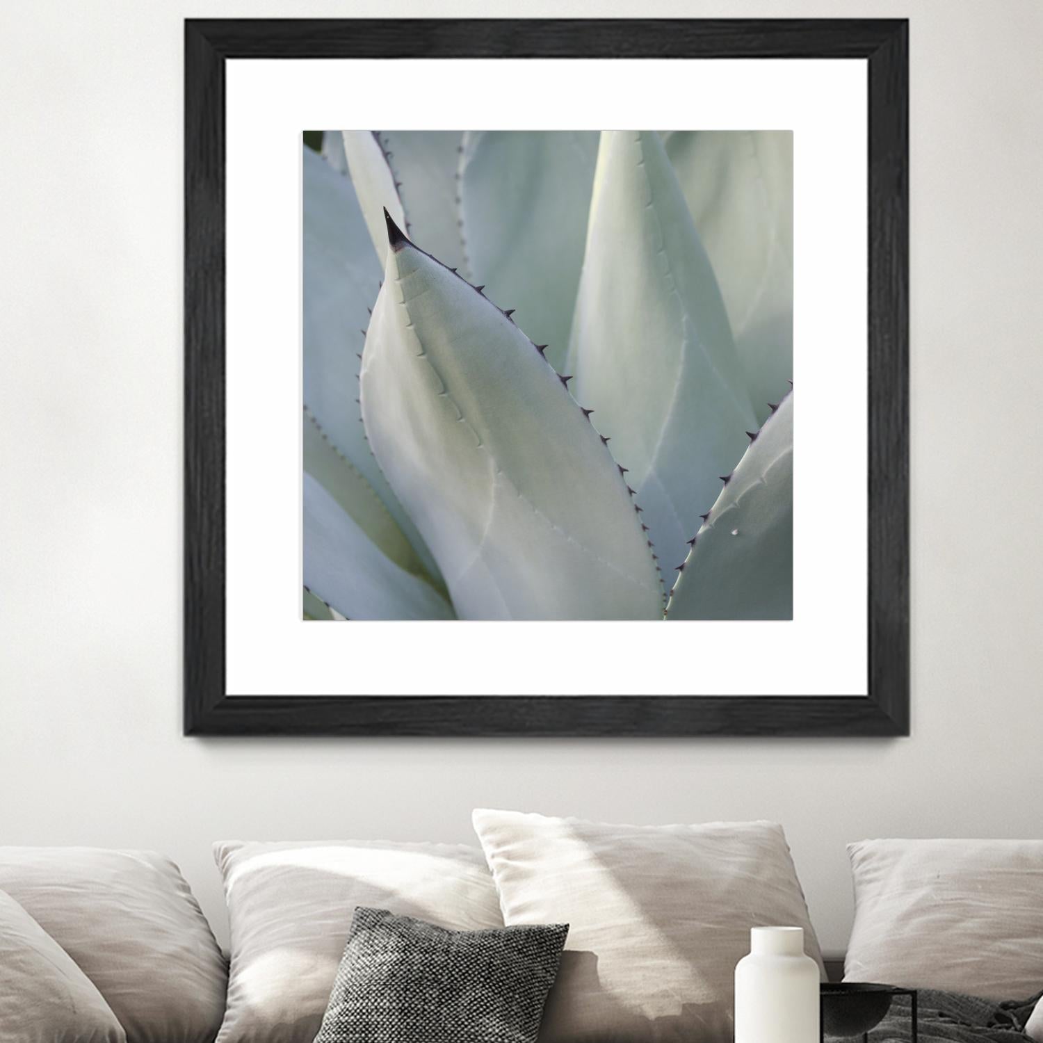 Black Tip Succulent by Karen Ussery on GIANT ART - grey botany
