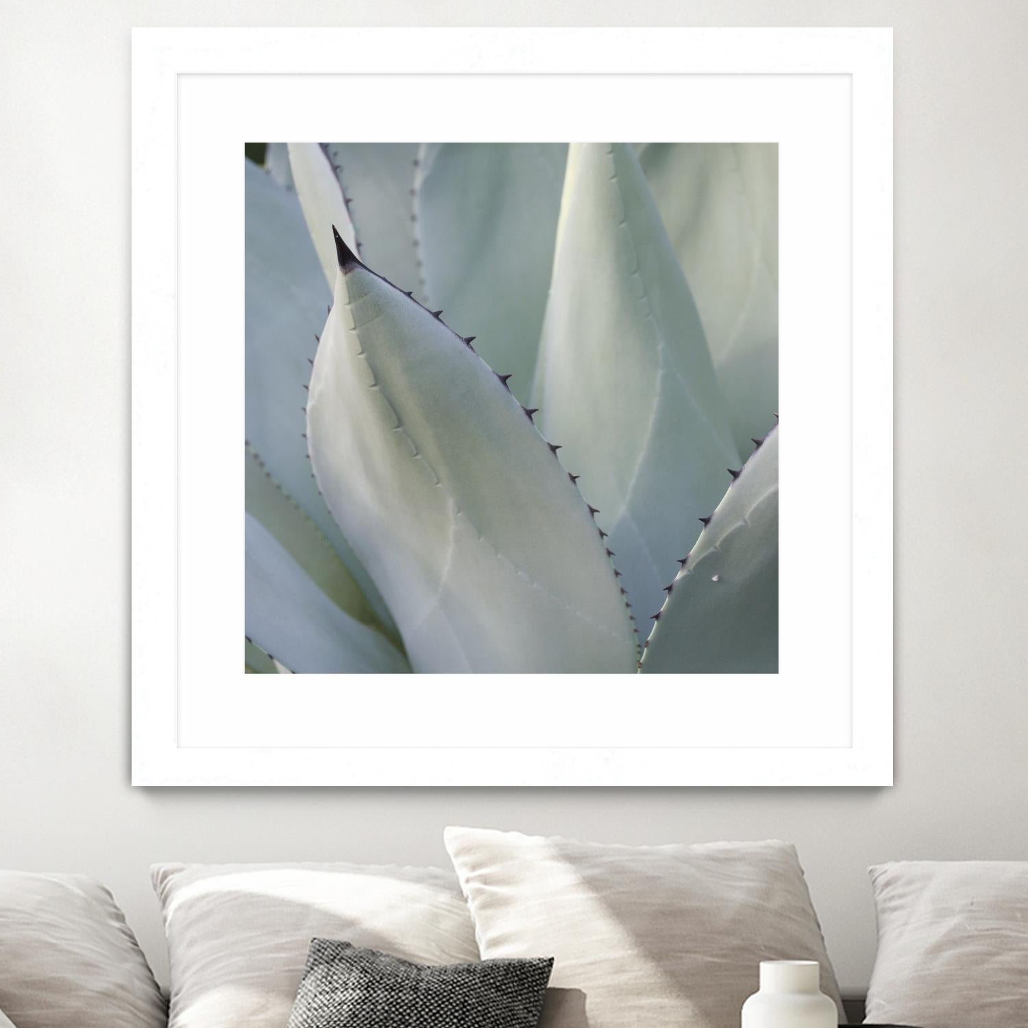 Black Tip Succulent by Karen Ussery on GIANT ART - grey botany