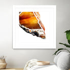 Blood Orange Agate A by GI ArtLab on GIANT ART - white abstract