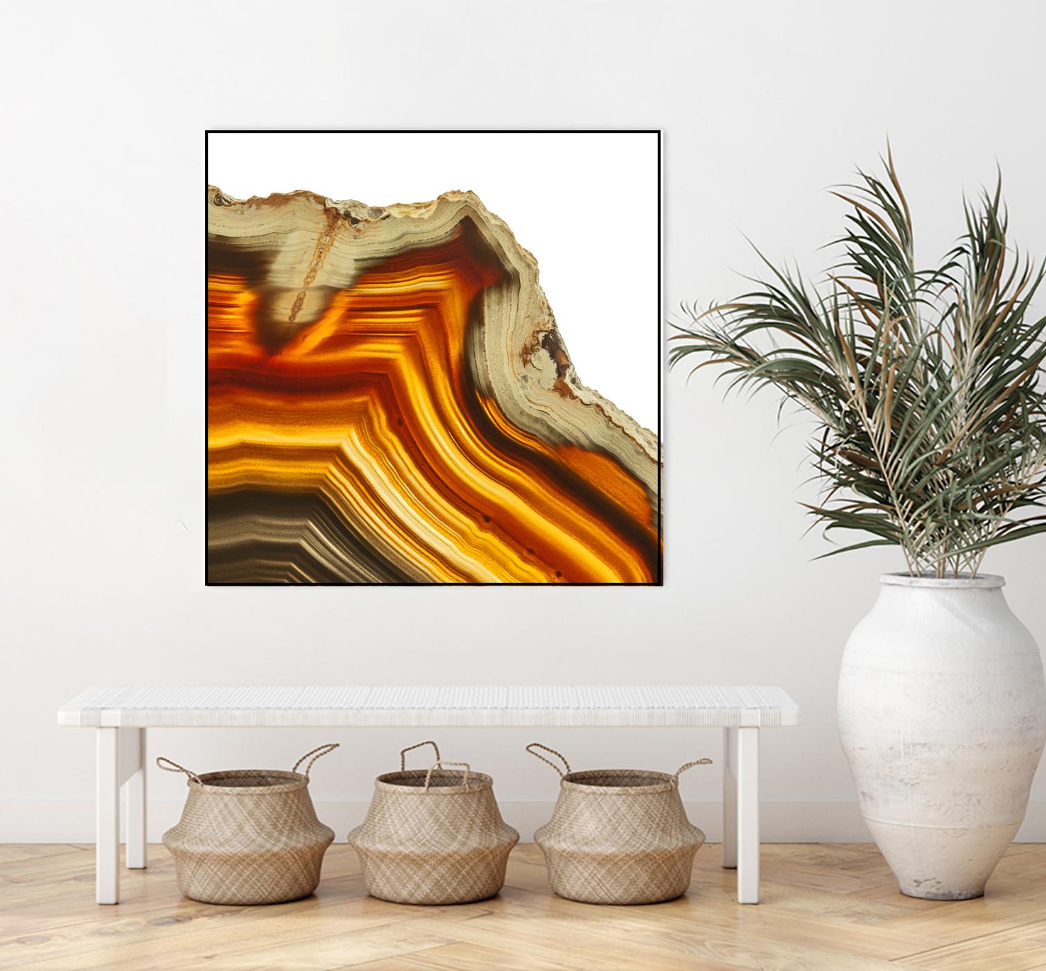 Cadmium Orange Agate A by GI ArtLab on GIANT ART - white abstract