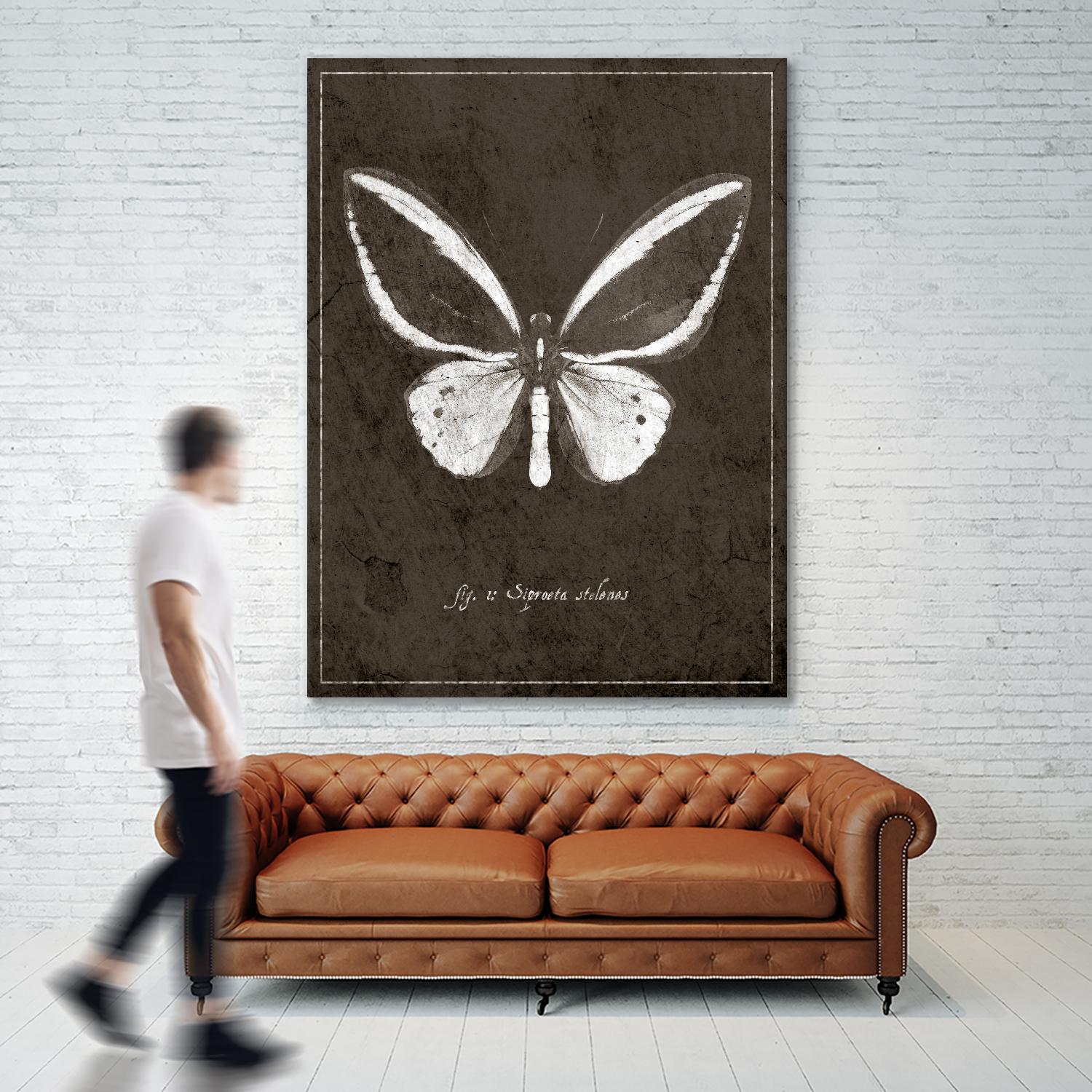 Butterfly I by GI ArtLab on GIANT ART - white botany