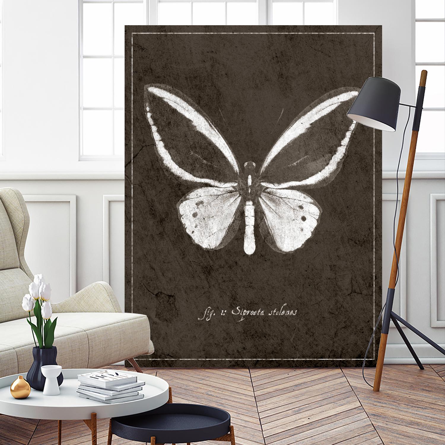 Butterfly I by GI ArtLab on GIANT ART - white botany