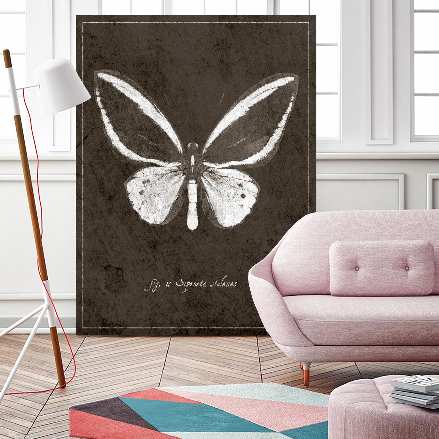 Butterfly I by GI ArtLab on GIANT ART - white botany