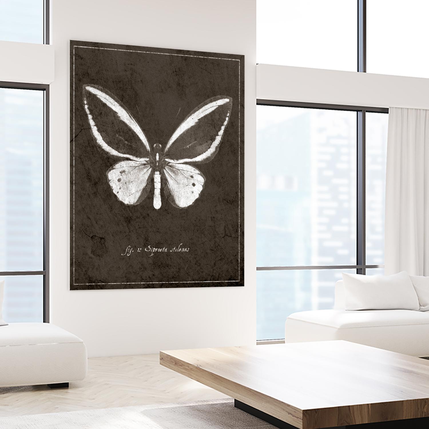Butterfly I by GI ArtLab on GIANT ART - white botany