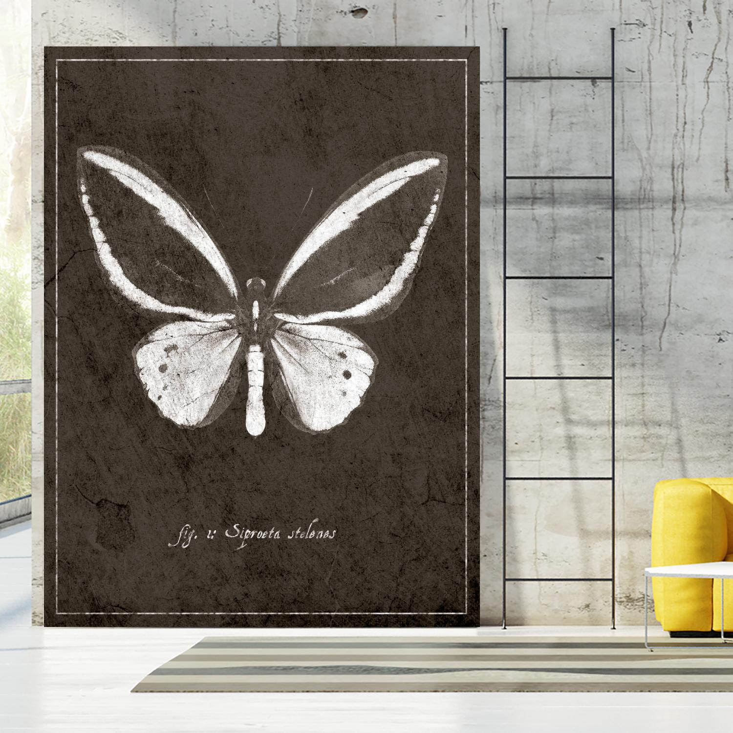 Butterfly I by GI ArtLab on GIANT ART - white botany