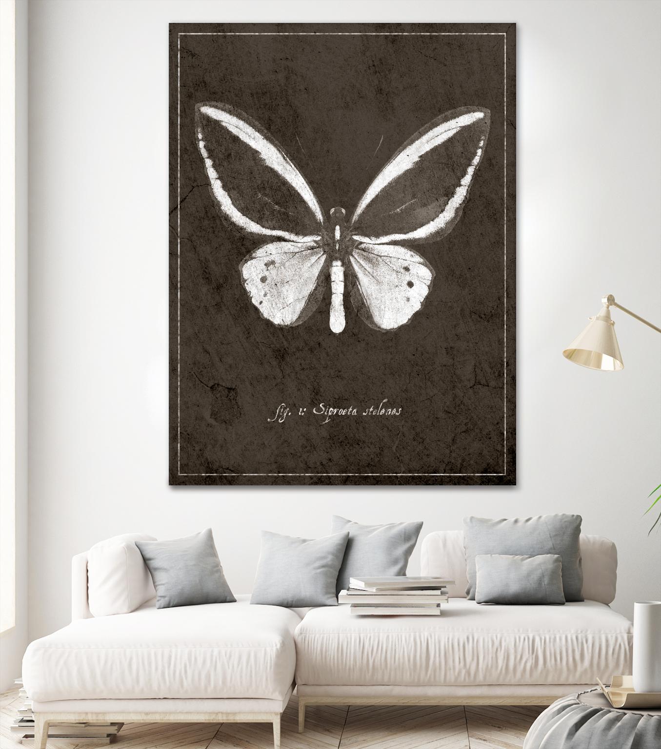 Butterfly I by GI ArtLab on GIANT ART - white botany
