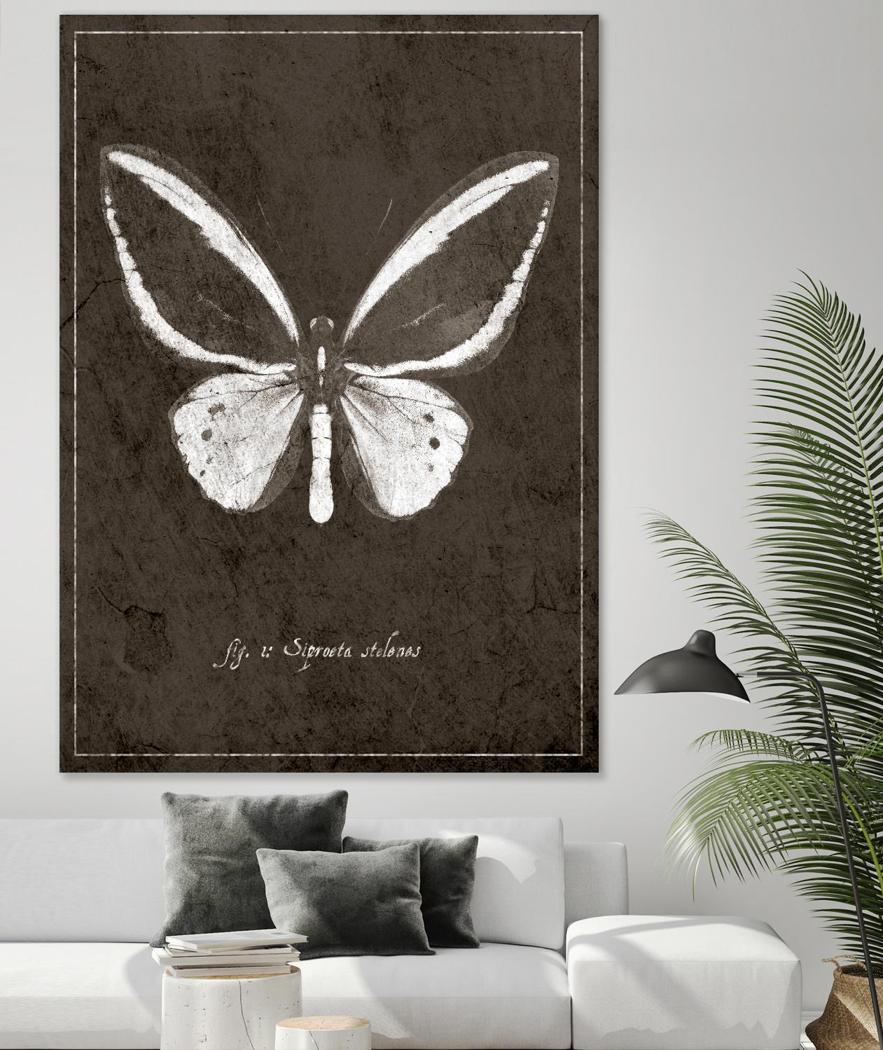 Butterfly I by GI ArtLab on GIANT ART - white botany