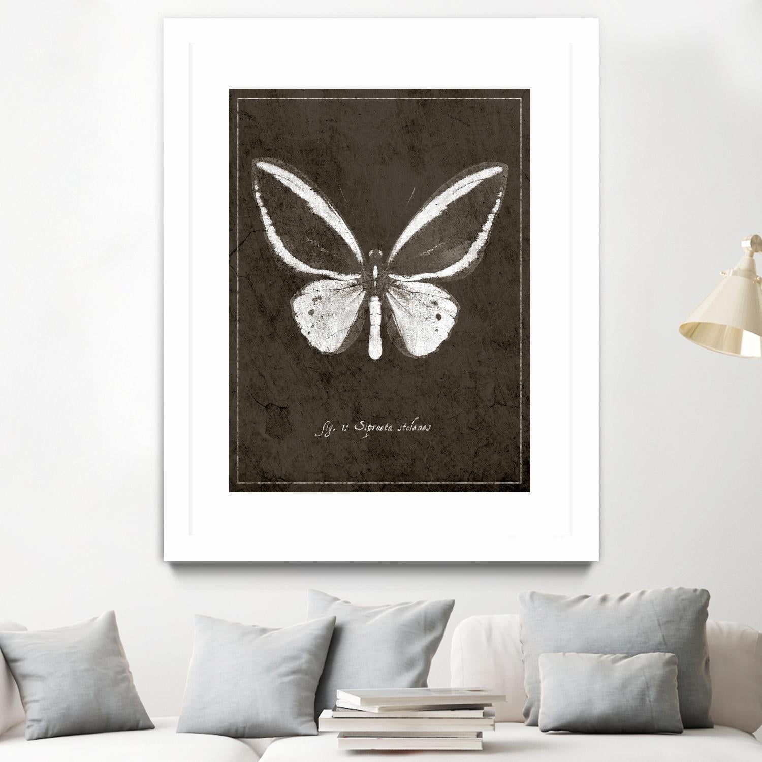 Butterfly I by GI ArtLab on GIANT ART - white botany