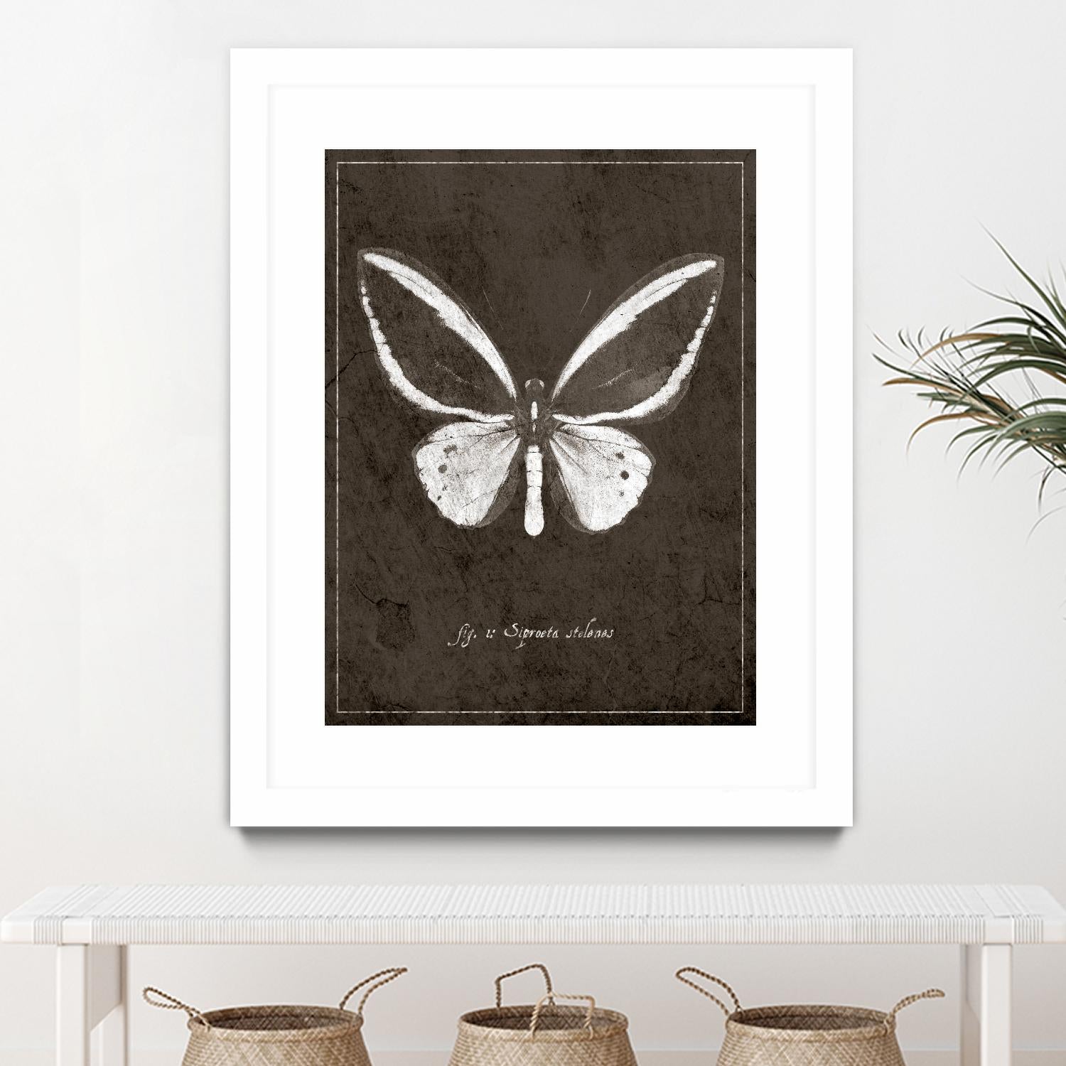 Butterfly I by GI ArtLab on GIANT ART - white botany