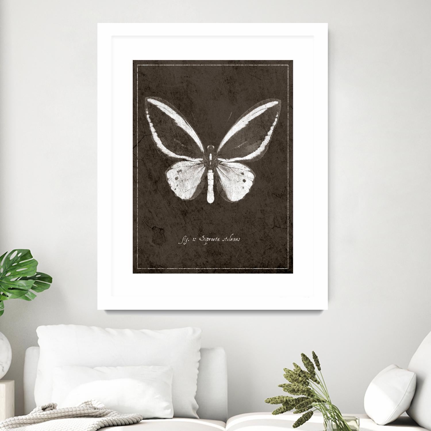 Butterfly I by GI ArtLab on GIANT ART - white botany