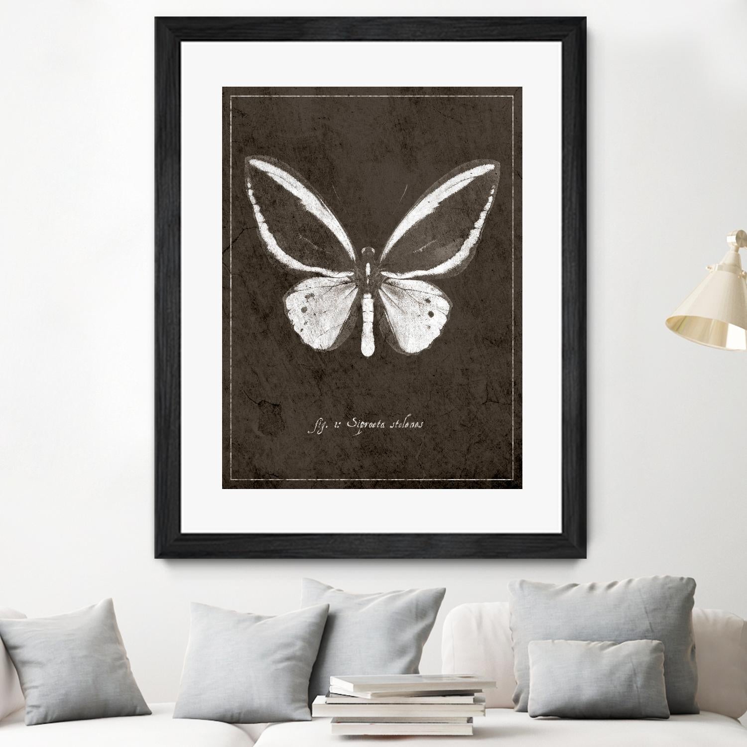 Butterfly I by GI ArtLab on GIANT ART - white botany