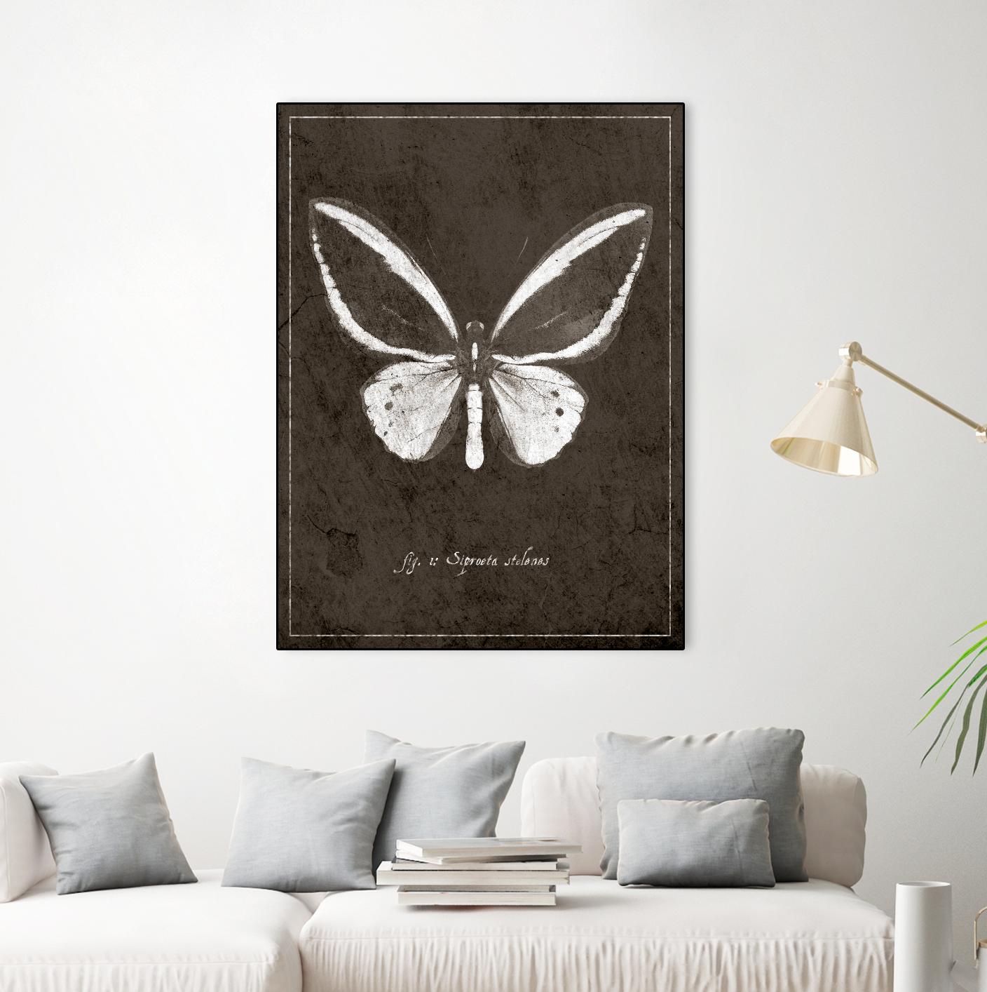 Butterfly I by GI ArtLab on GIANT ART - white botany