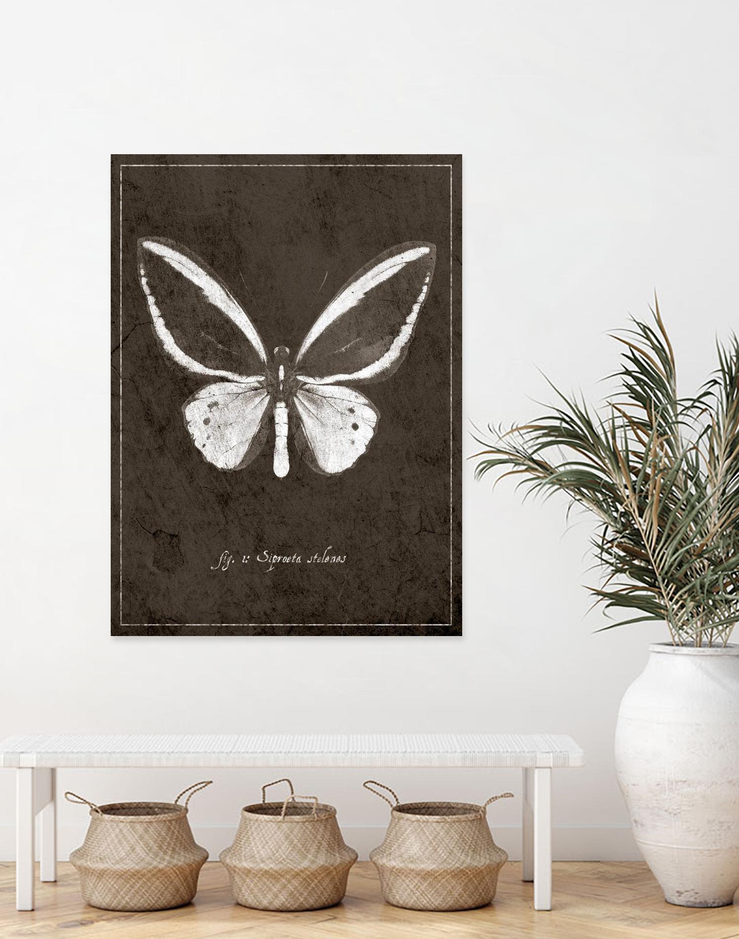 Butterfly I by GI ArtLab on GIANT ART - white botany