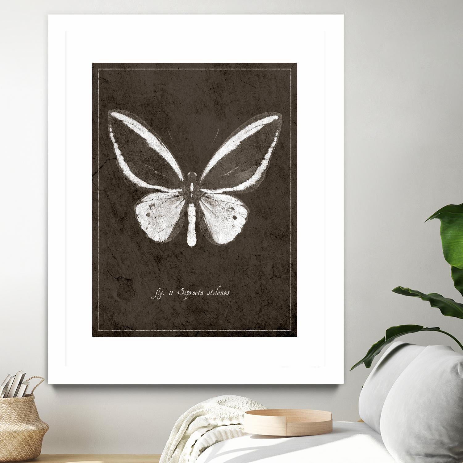 Butterfly I by GI ArtLab on GIANT ART - white botany