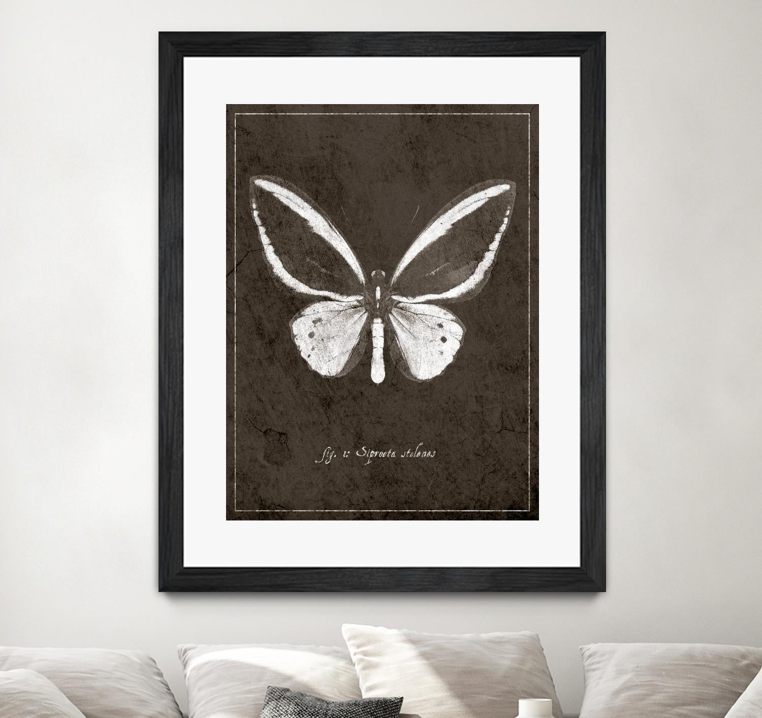 Butterfly I by GI ArtLab on GIANT ART - white botany