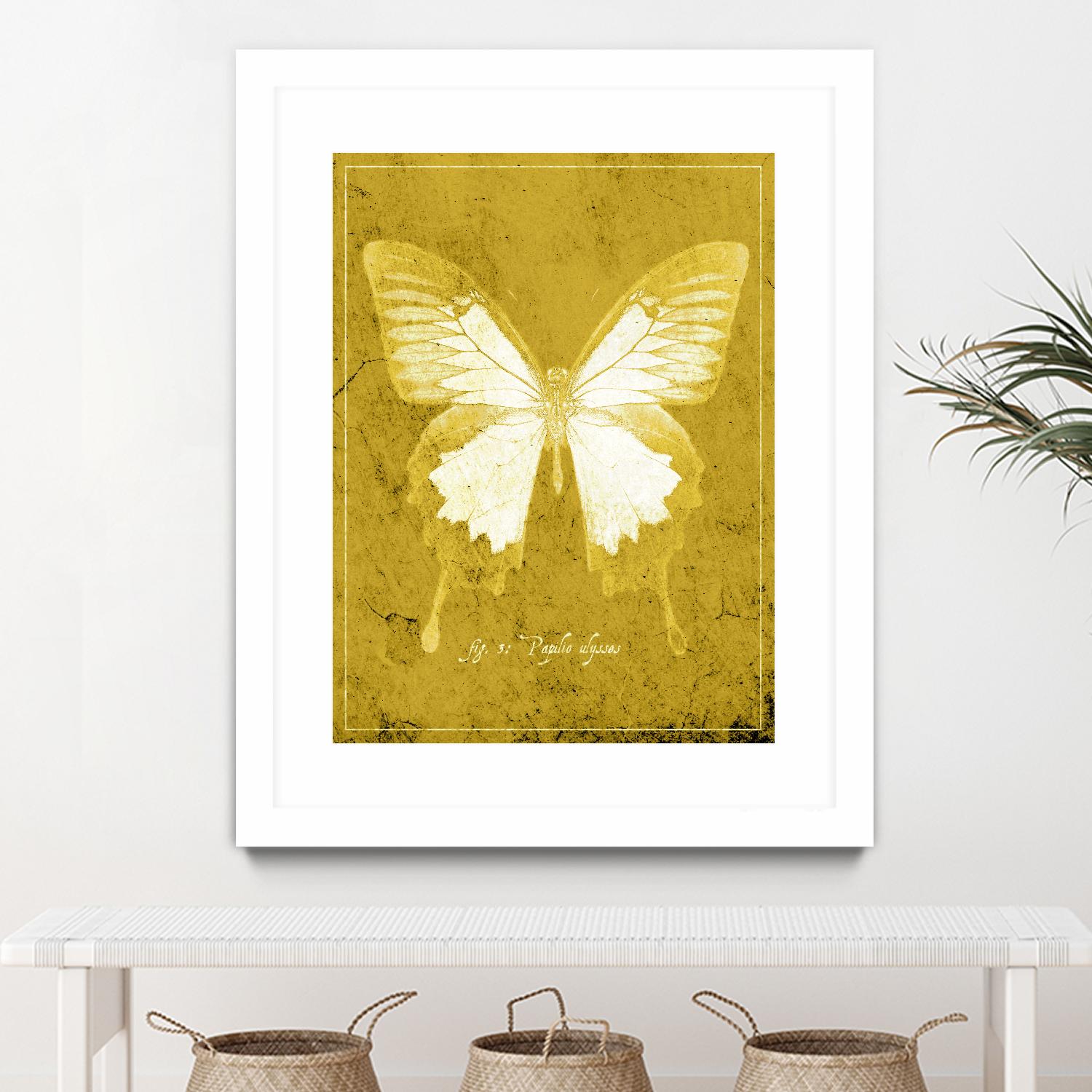 Butterfly L by GI ArtLab on GIANT ART - pink animals