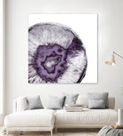Plum Agate B by THE Studio on GIANT ART - white abstract