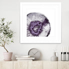 Plum Agate B by THE Studio on GIANT ART - white abstract