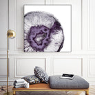 Plum Agate B by THE Studio on GIANT ART - white abstract
