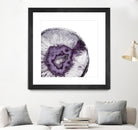 Plum Agate B by THE Studio on GIANT ART - white abstract