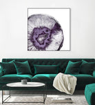 Plum Agate B by THE Studio on GIANT ART - white abstract