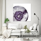 Plum Agate B by THE Studio on GIANT ART - white abstract
