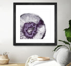 Plum Agate B by THE Studio on GIANT ART - white abstract